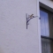 A bird on the funeral home is worth two...?