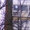 From the street.