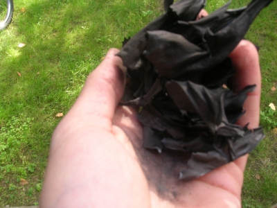 It's like a flower