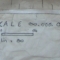 The scale of Nothingnessia