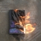 The fire is reading the book