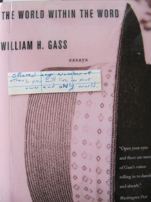 The World within the Word by William H. Gass