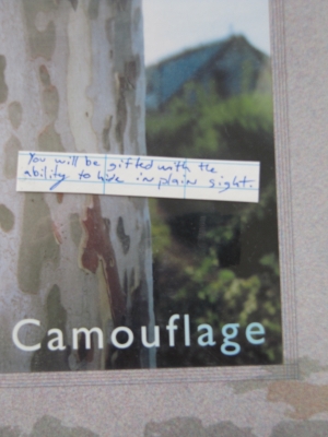 Camouflage by Murray Bail