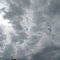 09.06.2010.11.11..JPG