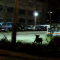 09.06.2010.12.03dog.PNG