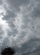 09.06.2010.11.11..JPG