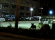 09.06.2010.12.03dog.PNG
