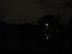 09.06.2010.12.48pondlight.JPG