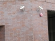 09.06.2010.12.48secure.JPG