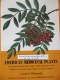 American Medicinal Plants by Charles F. Millspaugh