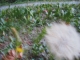 img652092233.jpg