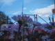 img655192242.jpg