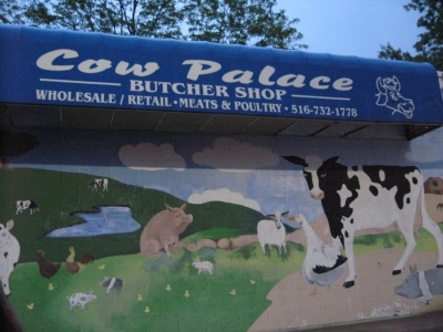Watch out, Bessie! It's a trap!