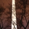 washington monument 1