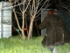 photo_photo