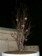 potted magnolia