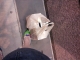 Drinking