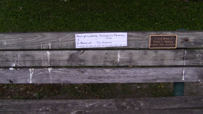 Plaque, daylight