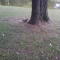 IMG_20100913_152356.jpg