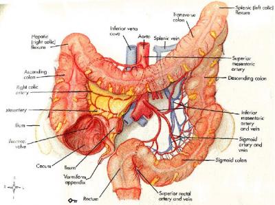 Chock Full of Nerve Endings