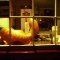The Chocolate Shop at Night