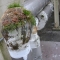 Through the pipes