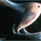 Gulper Eel