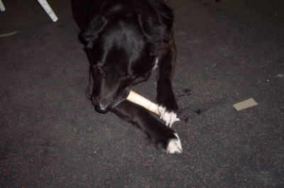 Maisie enjoyed the pestle.