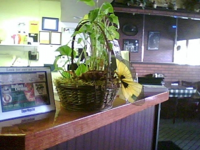 Previously unnoticed plant