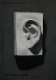 Quarter Size Ear.jpg