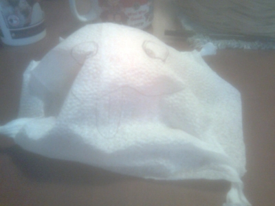 Ghost/ creature