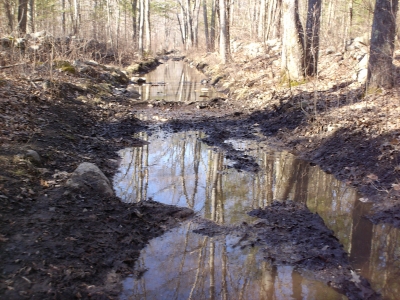 Muddy Path