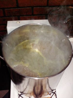 The boil The boil