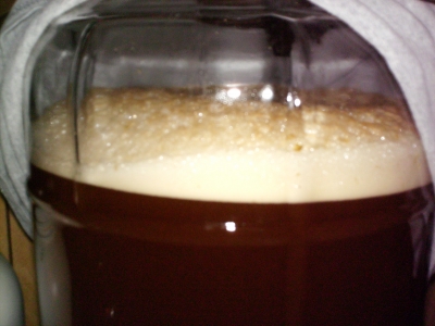 Fermenter