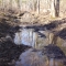 Muddy Path