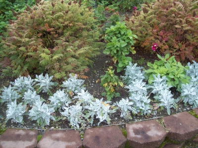 Where we decided to put one bundle of daffodils.