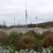 Another shot of the garden