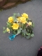 The daffodils.