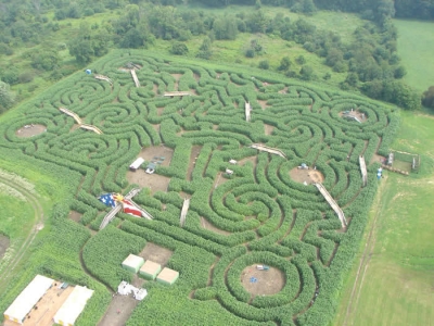 This year's maze