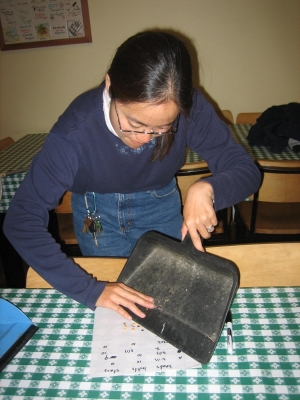 We carefully counted the particles after each trial