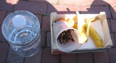 Special delivery - bacon and bananas