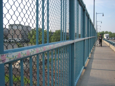bicyclist-looking.jpg