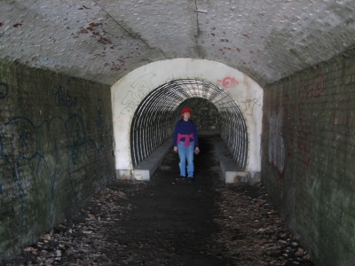 A tunnel like whale ribs