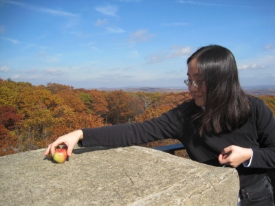 Scenic outlook