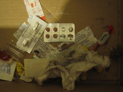 main_detritus104356.jpg