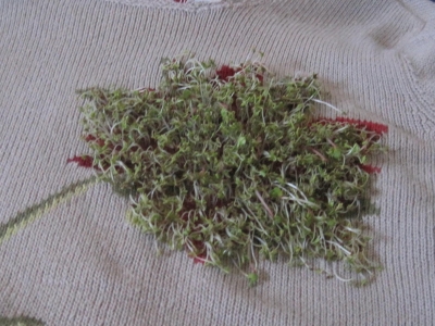 Greener, but droopy
