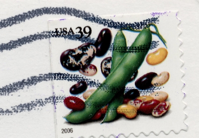 American Crops
