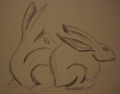 rabbits