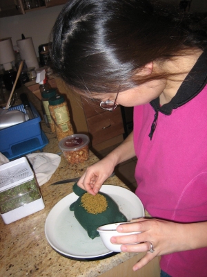 Sprinkling the seeds