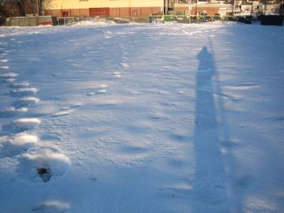 relatively undisturbed snow